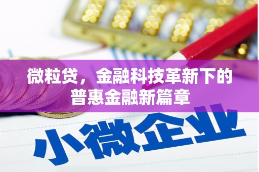 安仁微粒贷，金融科技革新下的普惠金融新篇章