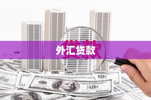 安仁外汇贷款