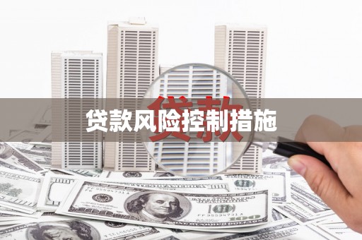 安仁贷款风险控制措施