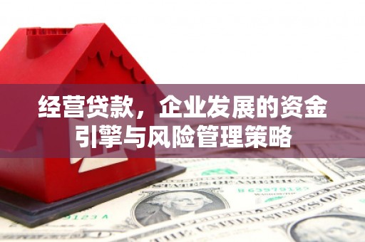 安仁经营贷款，企业发展的资金引擎与风险管理策略
