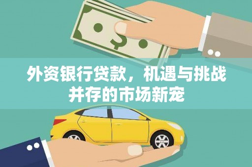 安仁外资银行贷款，机遇与挑战并存的市场新宠