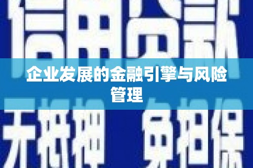 安仁企业发展的金融引擎与风险管理