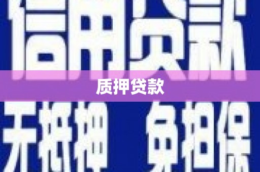 安仁质押贷款