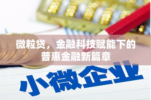 安仁微粒贷，金融科技赋能下的普惠金融新篇章