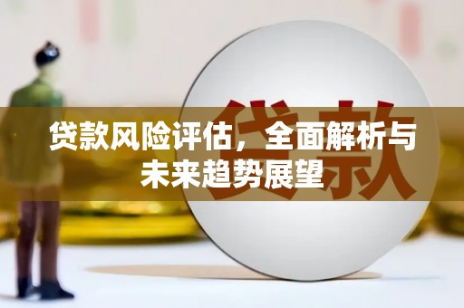 安仁贷款风险评估，全面解析与未来趋势展望