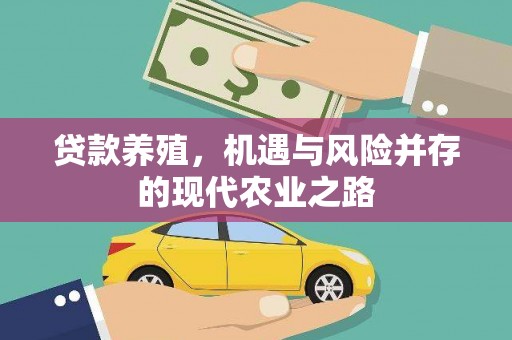 安仁贷款养殖，机遇与风险并存的现代农业之路
