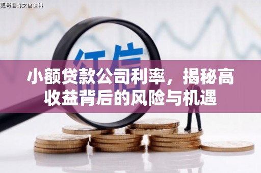 安仁小额贷款公司利率，揭秘高收益背后的风险与机遇