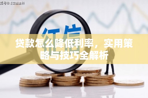 安仁贷款怎么降低利率，实用策略与技巧全解析