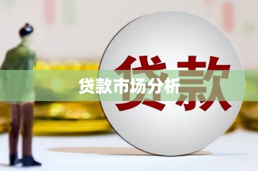 安仁贷款市场分析