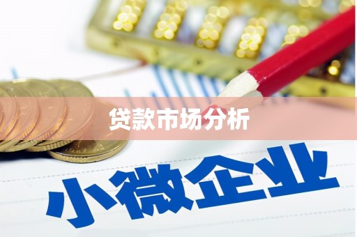 安仁贷款市场分析