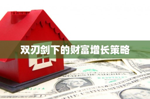 安仁双刃剑下的财富增长策略
