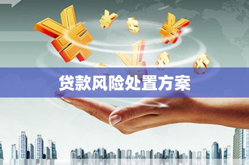 安仁贷款风险处置方案