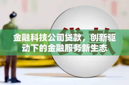 安仁金融科技公司贷款，创新驱动下的金融服务新生态