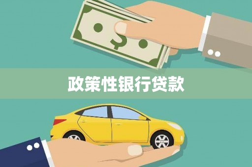 安仁政策性银行贷款