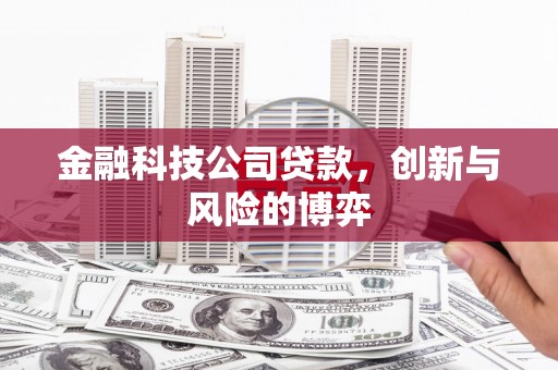 安仁金融科技公司贷款，创新与风险的博弈