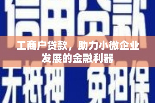 安仁工商户贷款，助力小微企业发展的金融利器