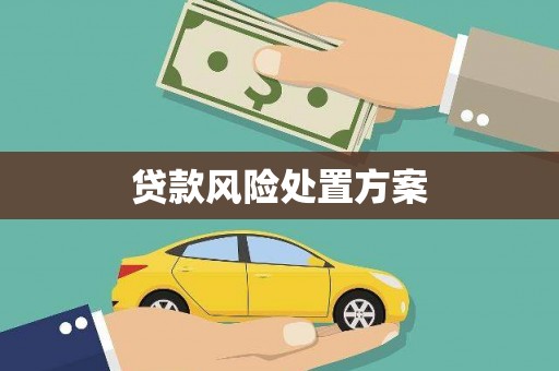 安仁贷款风险处置方案