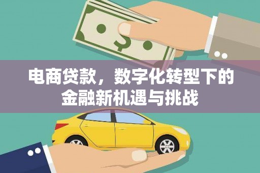 安仁电商贷款，数字化转型下的金融新机遇与挑战