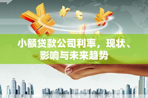 安仁小额贷款公司利率，现状、影响与未来趋势