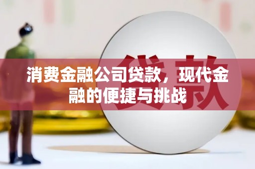 安仁消费金融公司贷款，现代金融的便捷与挑战