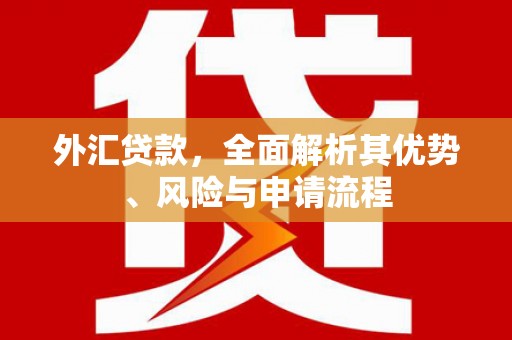 安仁外汇贷款，全面解析其优势、风险与申请流程