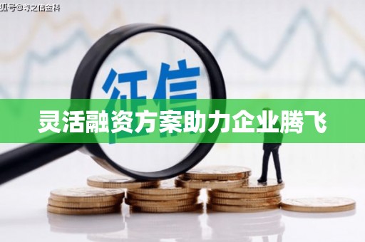 安仁灵活融资方案助力企业腾飞