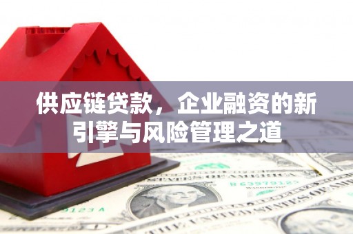 安仁供应链贷款，企业融资的新引擎与风险管理之道