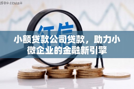 安仁小额贷款公司贷款，助力小微企业的金融新引擎