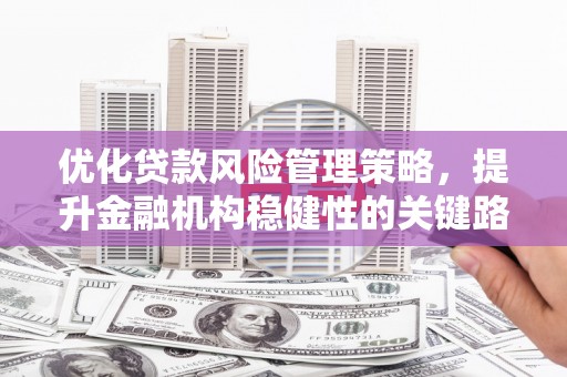 安仁优化贷款风险管理策略，提升金融机构稳健性的关键路径
