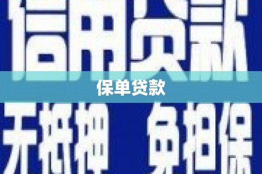 安仁保单贷款