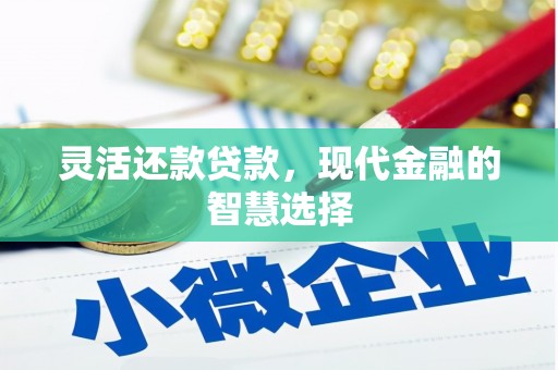 安仁灵活还款贷款，现代金融的智慧选择