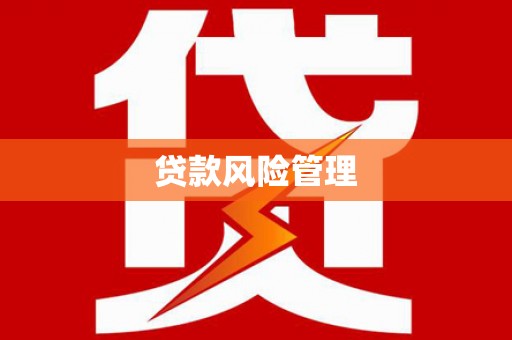 安仁贷款风险管理