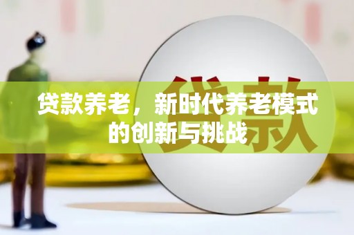 安仁贷款养老，新时代养老模式的创新与挑战
