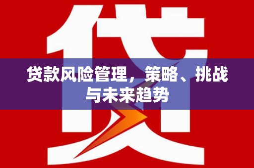 安仁贷款风险管理，策略、挑战与未来趋势