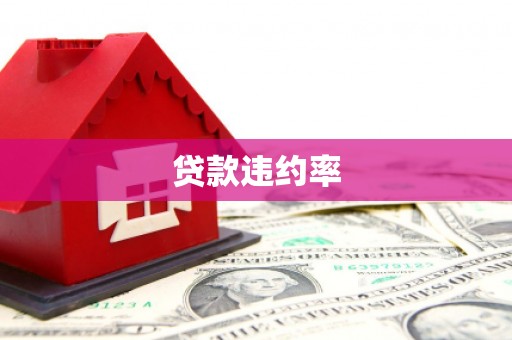 安仁贷款违约率