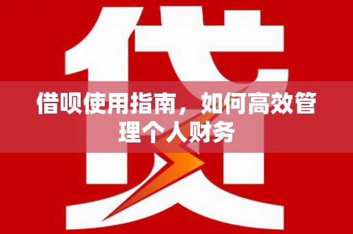 安仁借呗使用指南，如何高效管理个人财务
