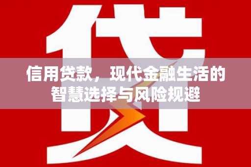 安仁信用贷款，现代金融生活的智慧选择与风险规避