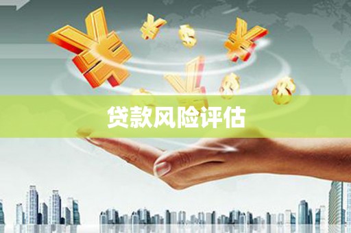 安仁贷款风险评估