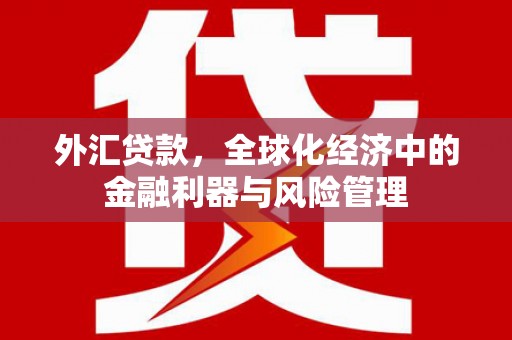 安仁外汇贷款，全球化经济中的金融利器与风险管理
