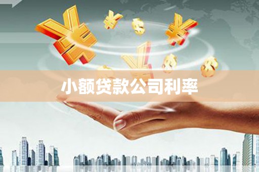 安仁小额贷款公司利率