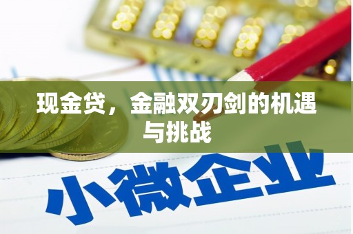 安仁现金贷，金融双刃剑的机遇与挑战