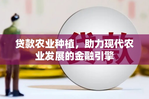 安仁贷款农业种植，助力现代农业发展的金融引擎