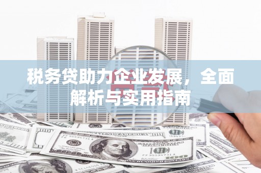 安仁税务贷助力企业发展，全面解析与实用指南