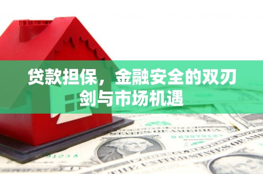安仁贷款担保，金融安全的双刃剑与市场机遇