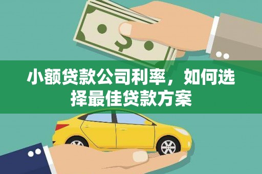 安仁小额贷款公司利率，如何选择最佳贷款方案