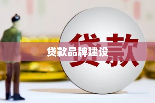 安仁贷款品牌建设