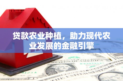 安仁贷款农业种植，助力现代农业发展的金融引擎