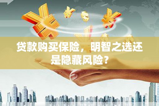 安仁贷款购买保险，明智之选还是隐藏风险？