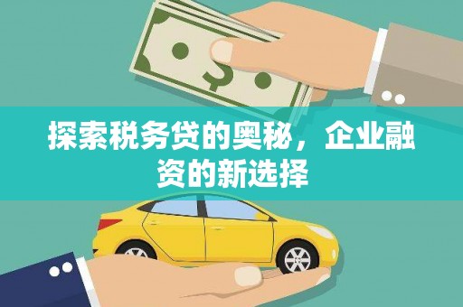 安仁探索税务贷的奥秘，企业融资的新选择