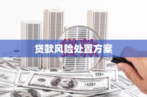 安仁贷款风险处置方案